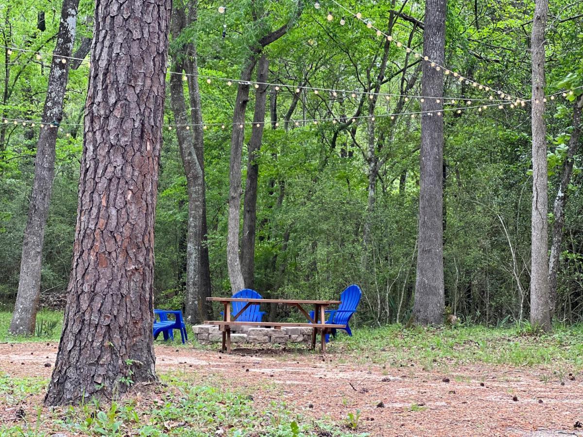 2 Bdrm Treehouse Hideout- Lake Conroe With Boat Ramp Монтгомери Экстерьер фото